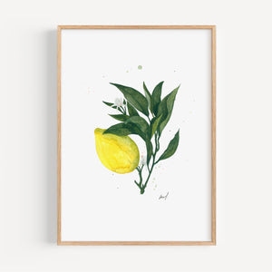 Art Print - Lemon