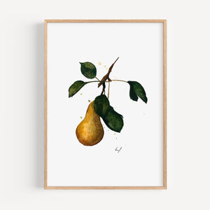 Art Print - Pear