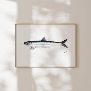 Art Print - Fish