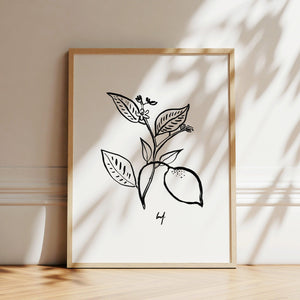 Kunstdruck - Art Line |  B/W Citrus Flower