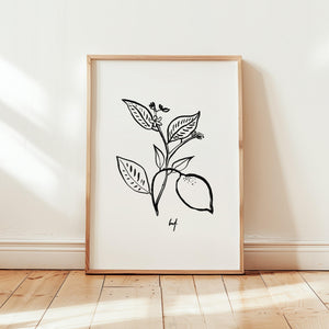 Kunstdruck - Art Line |  B/W Citrus Flower