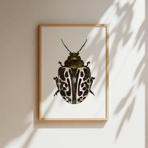 Art Print - Green Beetle