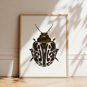 Art Print - Green Beetle