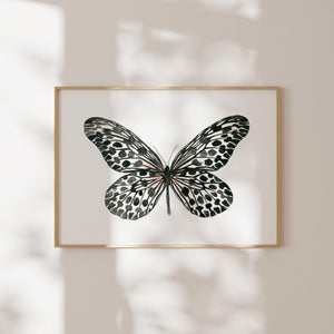 Art Print - Black Butterfly