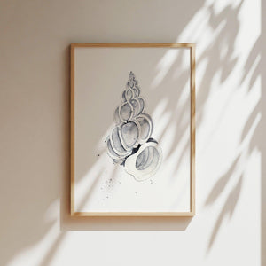 Art Print - Shell No 1