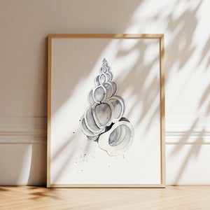 Art Print - Shell No 1