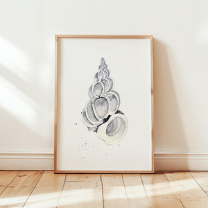 Art Print - Shell No 1