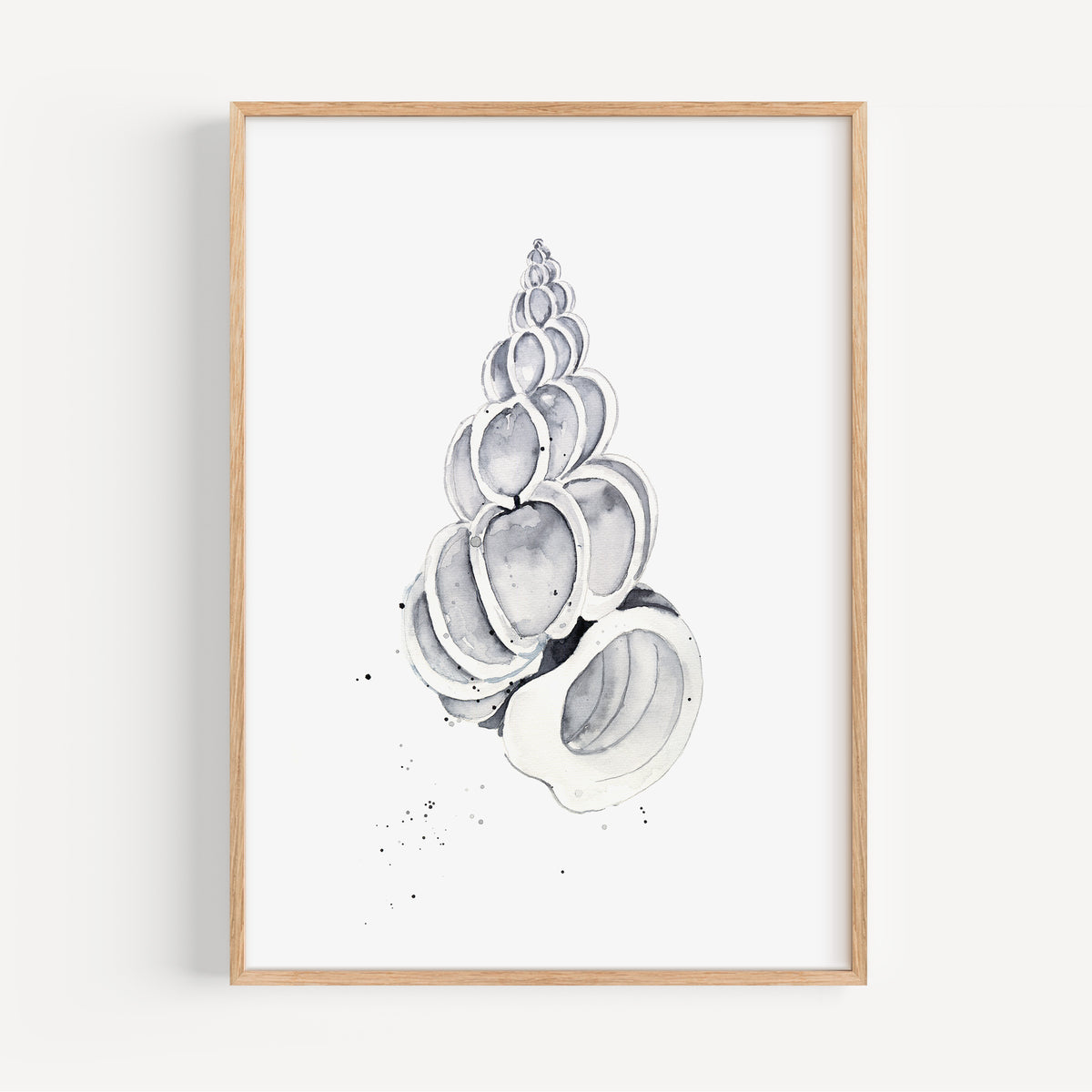Art Print - Shell No 1