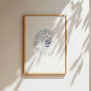 Art Print - Shell No 2