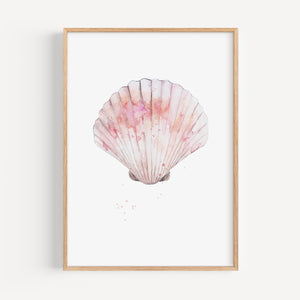Art Print - Shell No 3