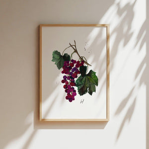 Art Print - Grapes