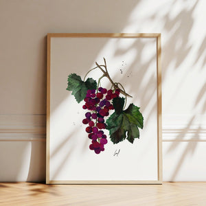 Art Print - Grapes