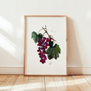 Art Print - Grapes