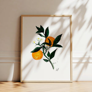 Art Print - Orange