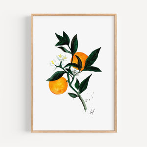 Art Print - Orange