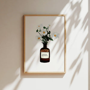 Art Print - Anemone | White