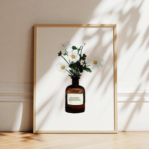 Art Print - Anemone | White