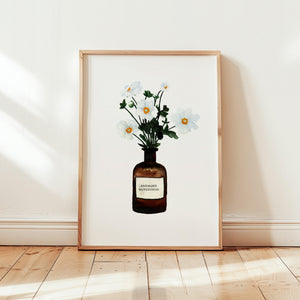 Art Print - Anemone | White