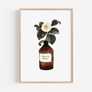 Art Print - Frutex Pink