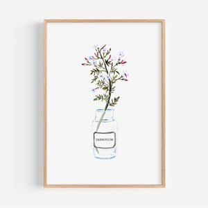 Art Print - Jasminum