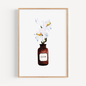 Art Print - Lilium