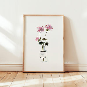 Art print - Monarda didyma