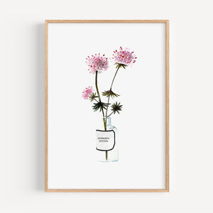 Art print - Monarda didyma