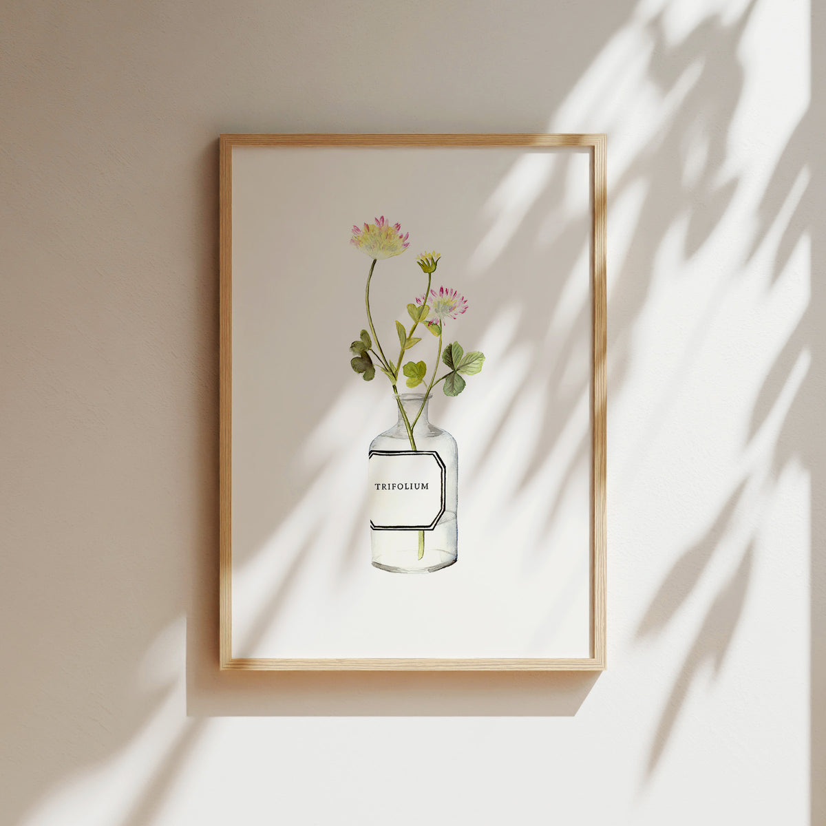 Kunstdruck - Trifolium