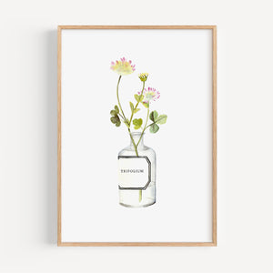 Art Print - Trifolium