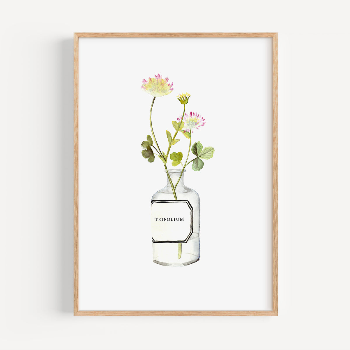 Kunstdruck - Trifolium