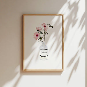 Art Print - Anemone | rose