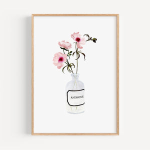 Art Print - Anemone | rose