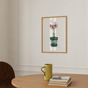 Art Print - Amaryllis