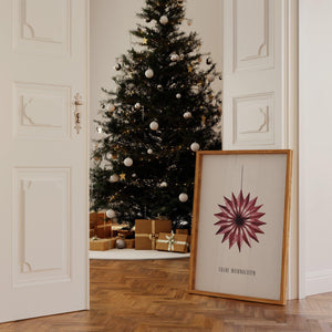 Kunstdruck - Weihnachtsstern