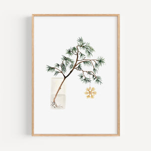 Kunstdruck - Weihnachtszweig
