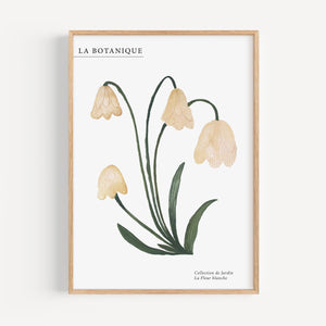 Art Print - Bicycle Love