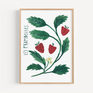 Art print - Les framboises