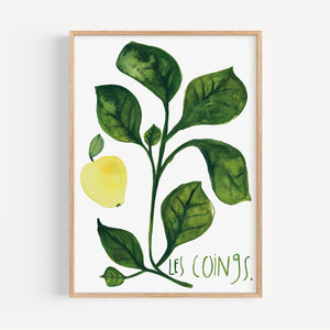 Art print - Les coings