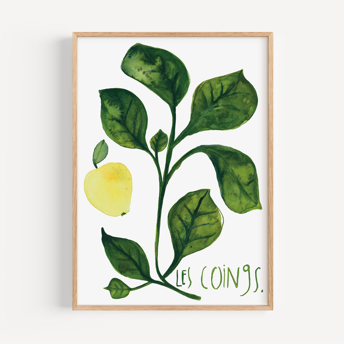 Kunstdruck - Les coings