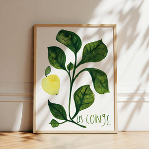 Art print - Les coings