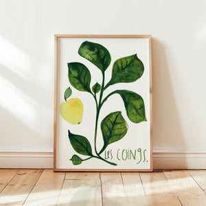 Art print - Les coings