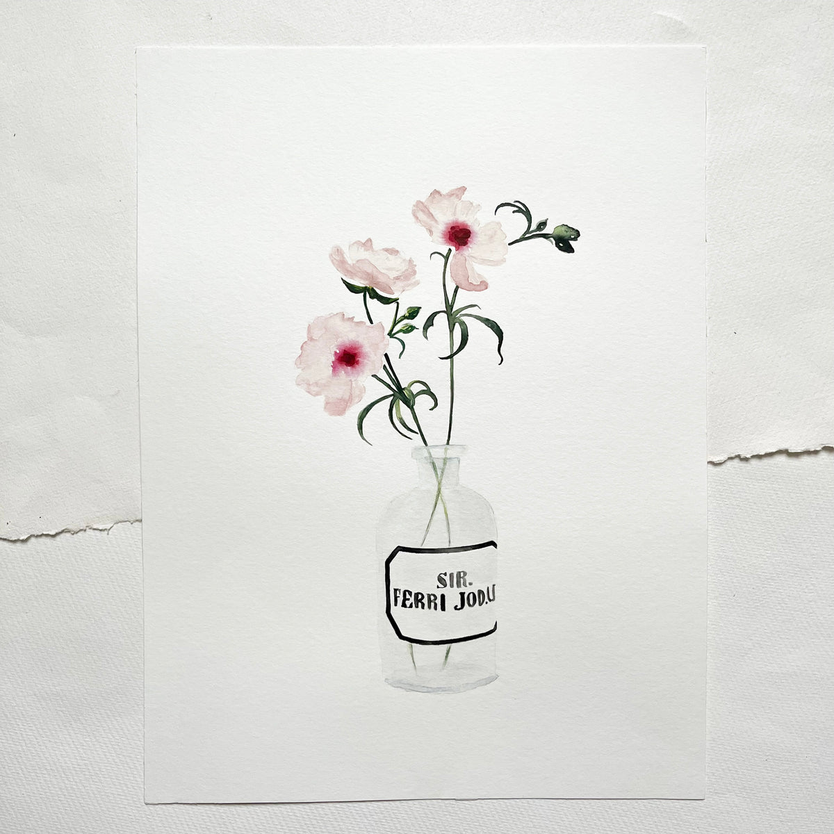 Original-Illustration | Anemone Rose