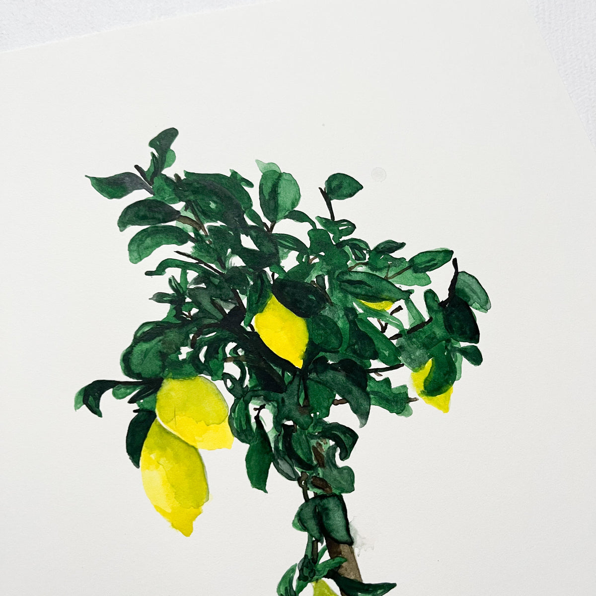 Original-Illustration | Lemontree
