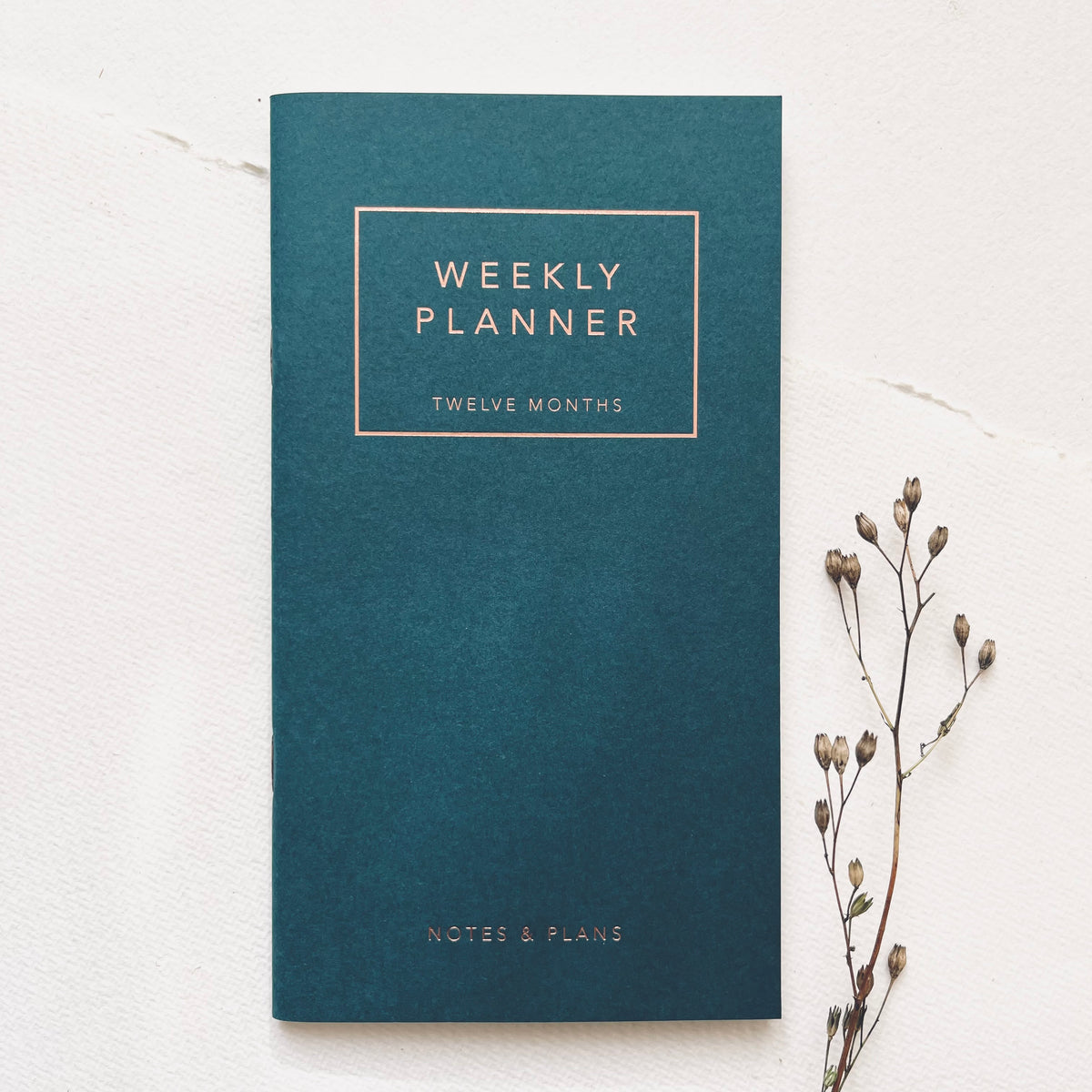 Weekly Planner - Teal