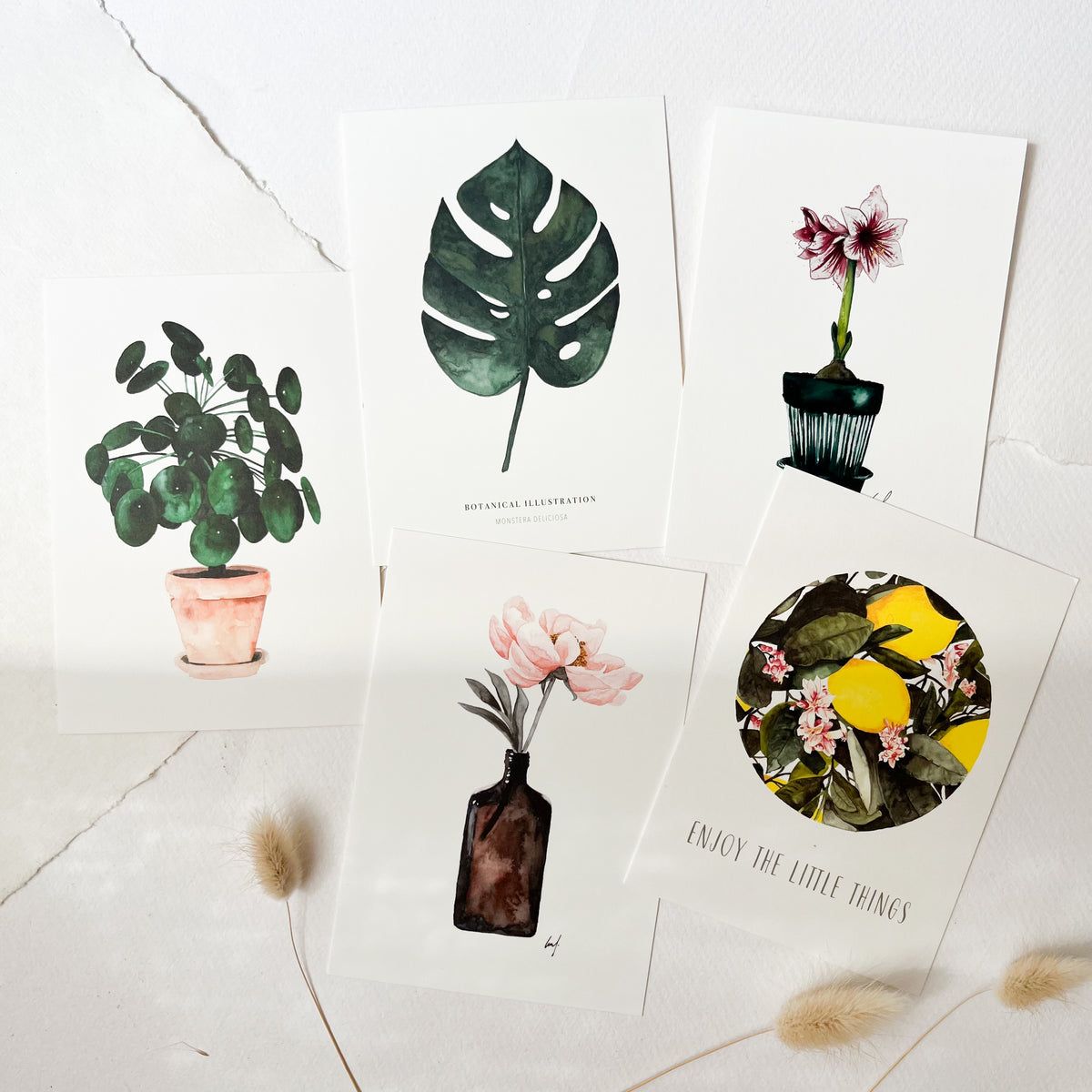 Postkarten Set · Botanical Illustrations II