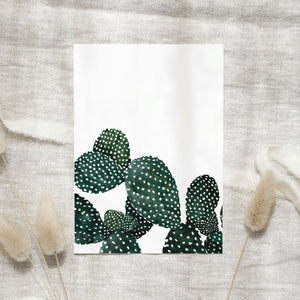 Postkarte - Cactus Family