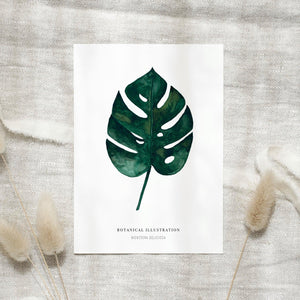 Postkarte - Monstera Deliciosa