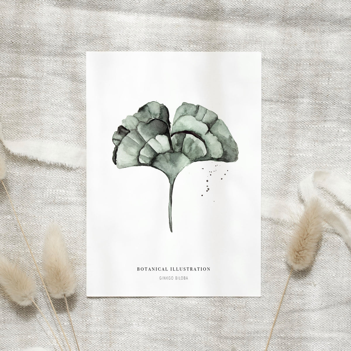 Postcard - Ginkgo Leaf