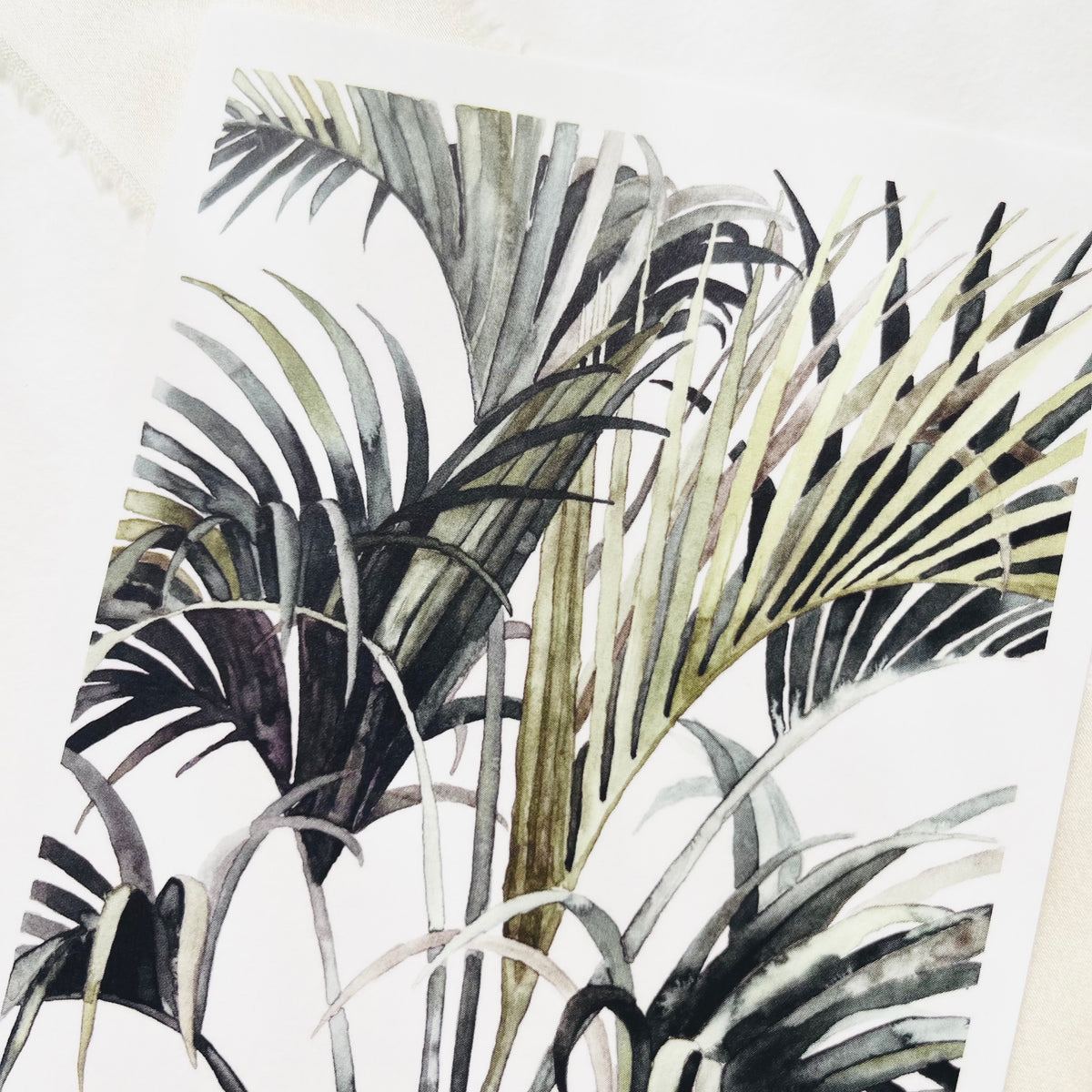 Postkarte - Wild Palm