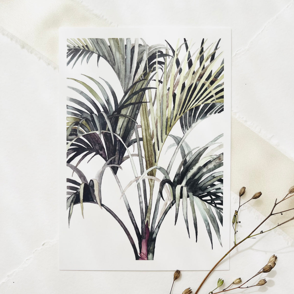 Postcard - Wild Palm
